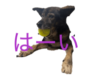 846440193