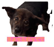 846440194
