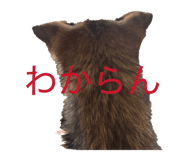 846440195
