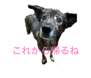 846440196