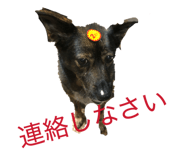 846440197