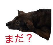 846440198