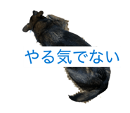 846440199