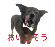 846440206