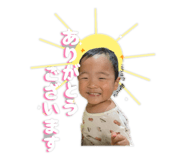 846440341