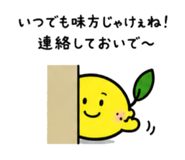 846440431