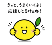 846440433