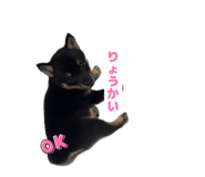 846440445