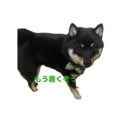 846440446