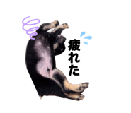 846440448