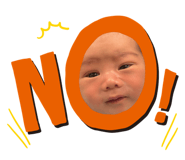 846442262