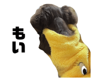 846442268
