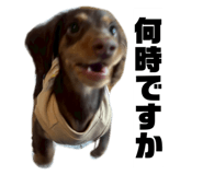 846442271