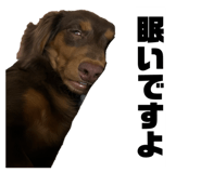 846442276