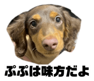846442278