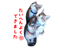 846442736