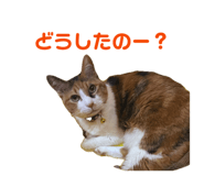 846442738