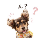846442805