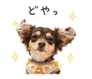 846442813