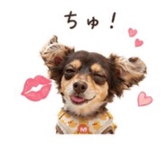 846442815