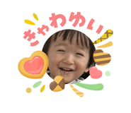 846443114