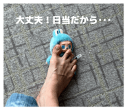 846443178