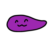 846443978