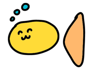 846444008