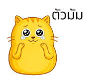 846446658