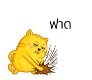 846446666