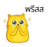 846446669
