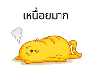 846446670