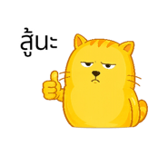 846446675