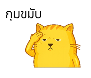 846446684