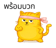 846446687
