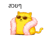 846446690