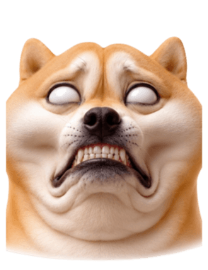 846447260