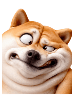 846447265