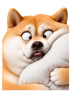 846447268