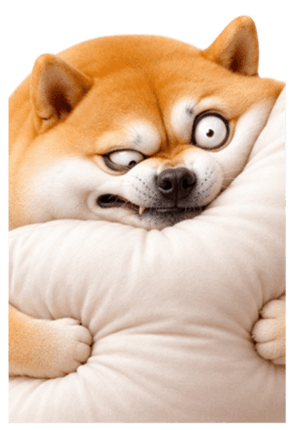 846447269