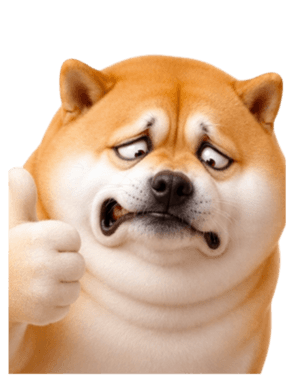 846447270