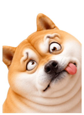 846447274