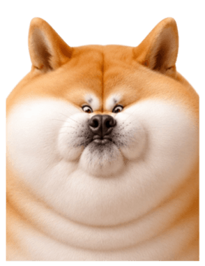 846447277