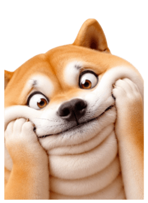 846447285