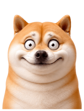 846447288