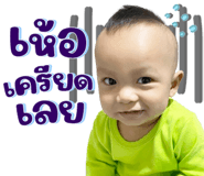 846447621