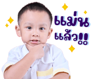 846447630