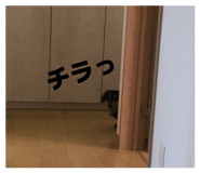 846448437