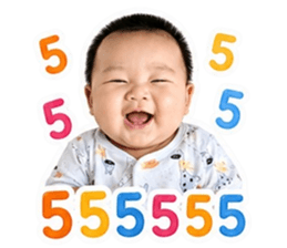 846448811