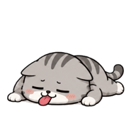 846449971